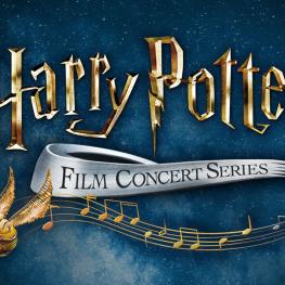 Harry Potter In Concert